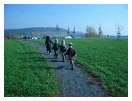 slides/SDC12048.JPG  SDC12048